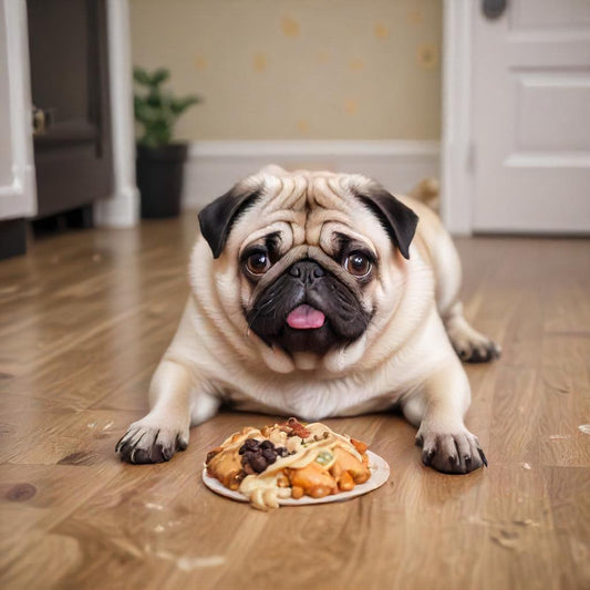 Weight Management for Pets: Portion Control and Healthy Eating Habits